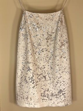 Honey Punch Sequin Mini Dress in Silver and Cream